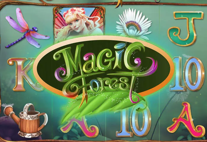 Secure live streaming casino games with Easybetcasino Live